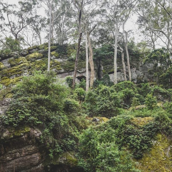 2026 Artists in Residence Announced