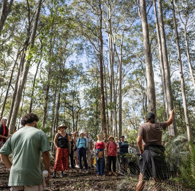 A group of people walking amongst the bush of Australia.