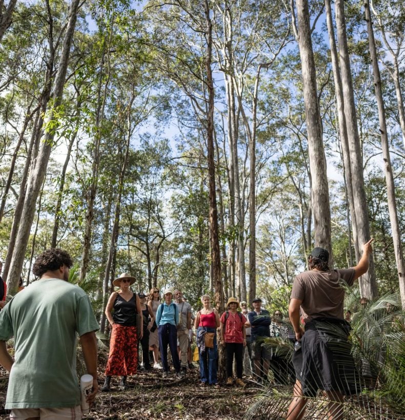 A group of people walking amongst the bush of Australia.