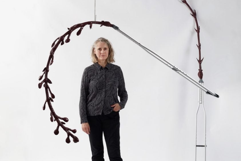 Reimagining Ecology