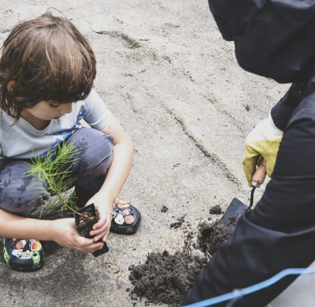 Kid planting.