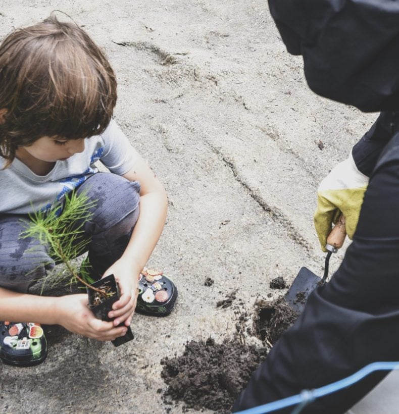 Kid planting.