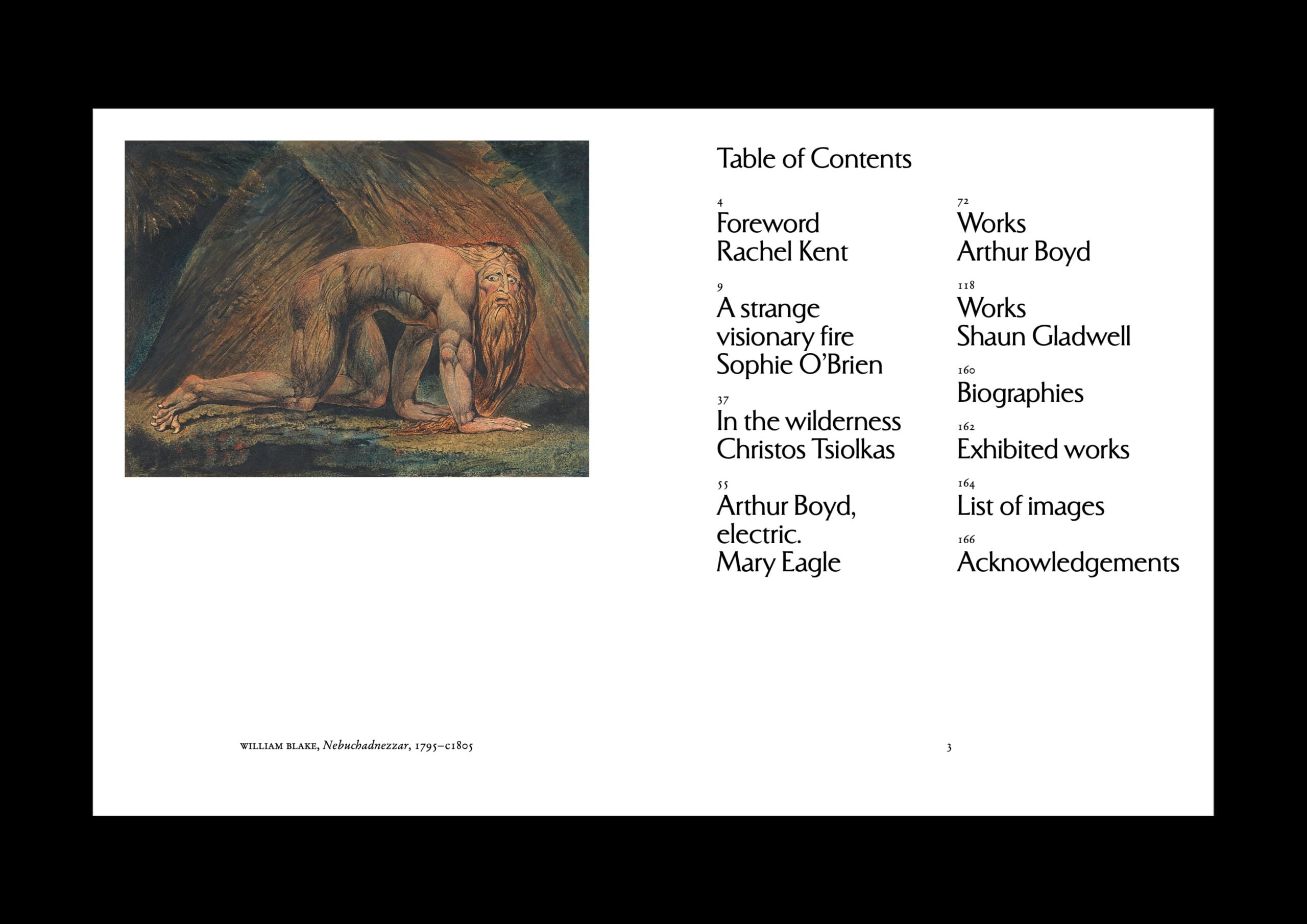 Man on Fire: Visions of Nebuchadnezzar Exhibition Publication (Pre Order) - Image 3