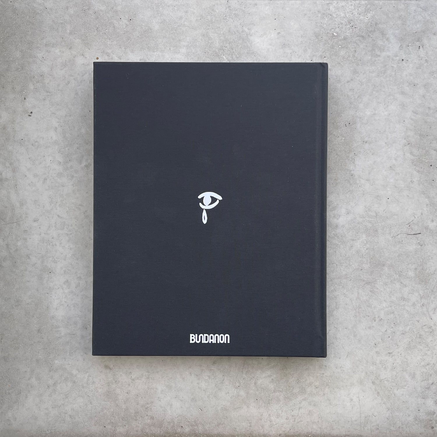 Man on Fire: Visions of Nebuchadnezzar Exhibition Publication - Image 2