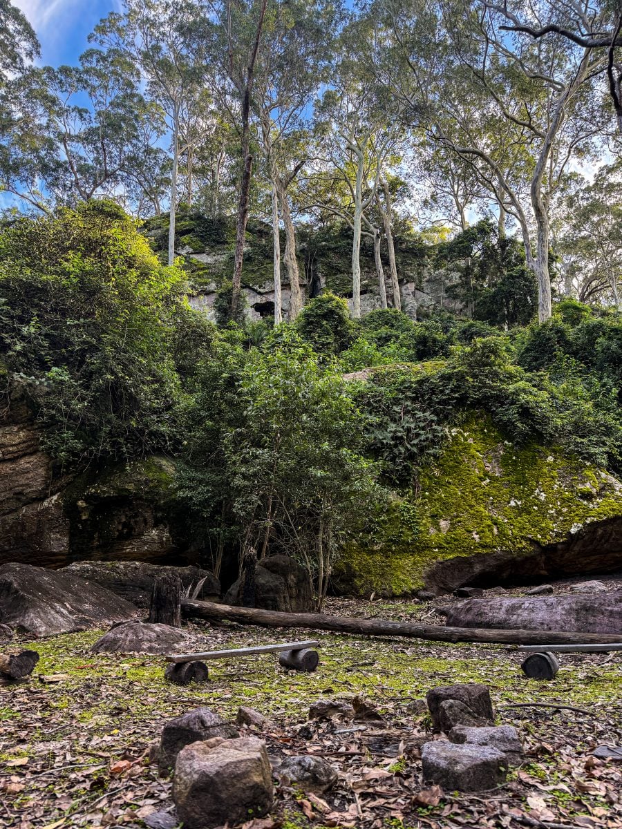 Landscape at cliffs edge