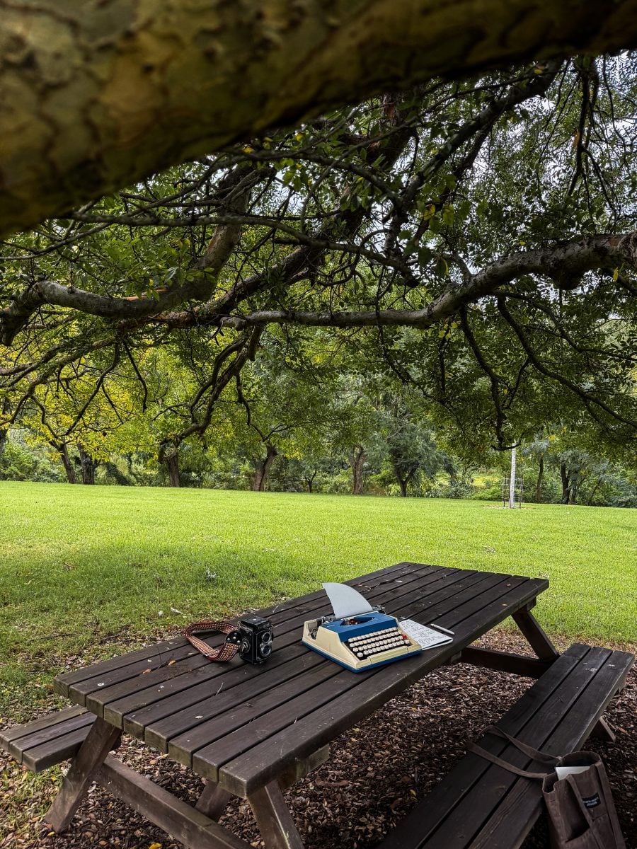 Outdoor work space under a tree