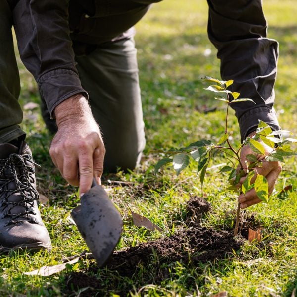 Human on hands and knees digging with a spade