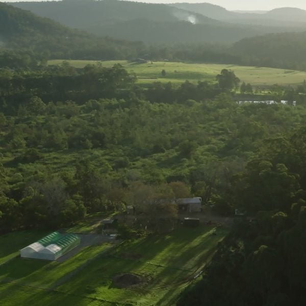 BUNDANON ANNOUNCES MARRING COUNTRY A FIRST NATIONS-LED NATIVE NURSERY AT BUNDANON IN PARTNERSHIP WITH MARRING